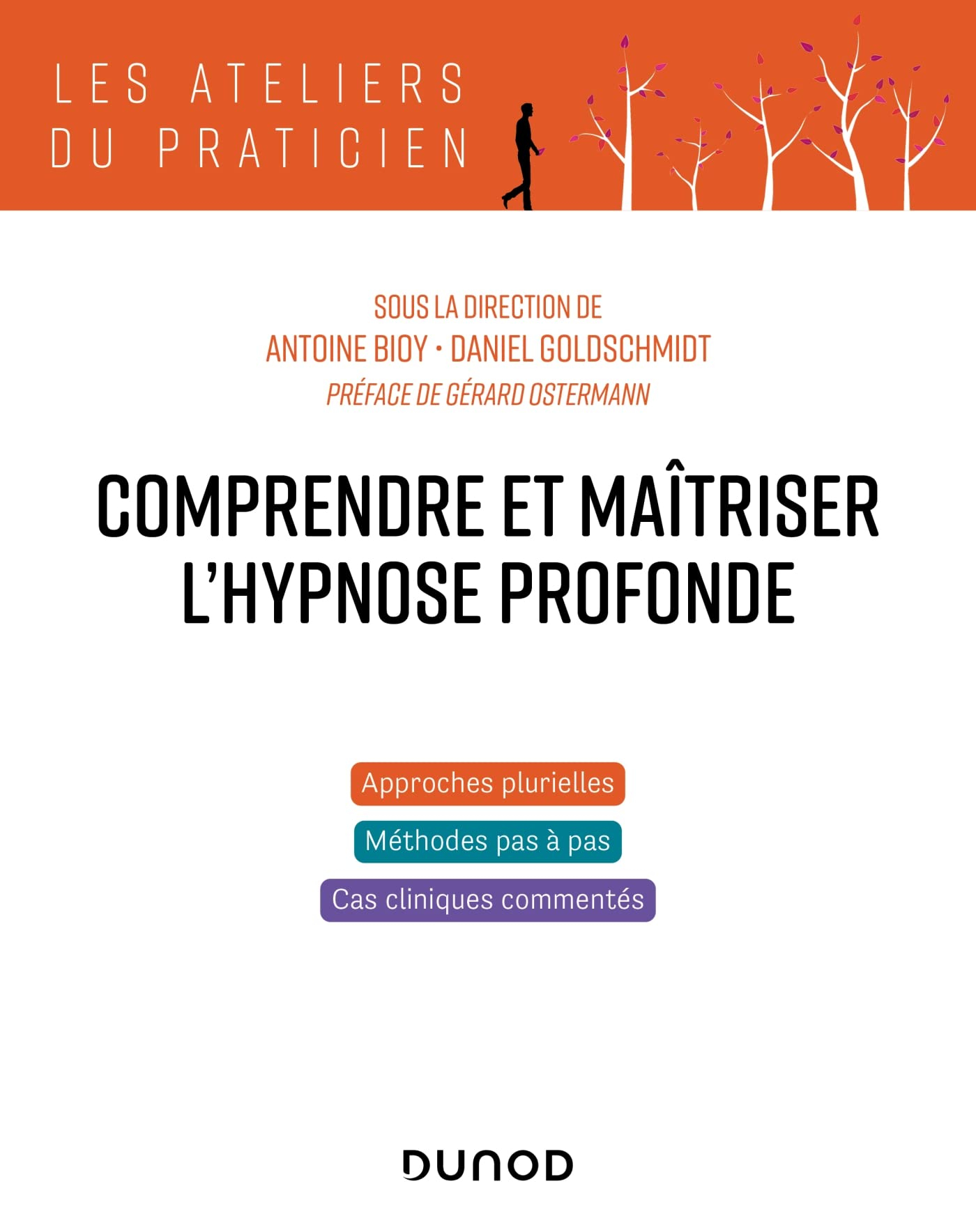 Comprendre et maîtriser l'hypnose profonde : approches plurielles, méthodes pas à pas, cas cliniques