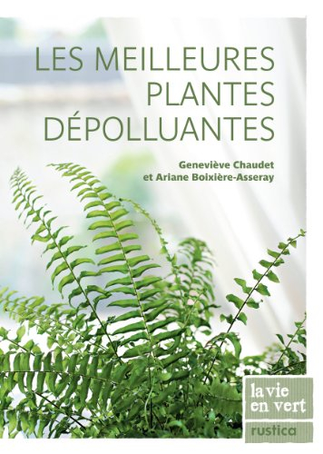 Les meilleures plantes dépolluantes
