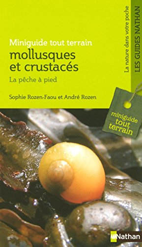Mollusques et crustacés : la pêche à pied