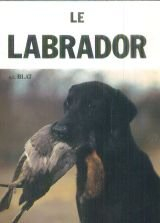 Le Labrador
