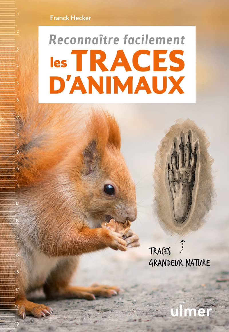 Reconnaître facilement les traces d'animaux