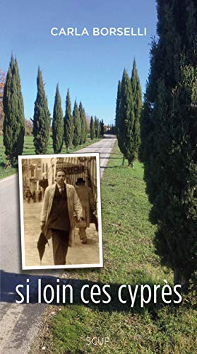 Si loin ces cyprés