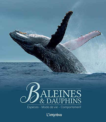 Baleines & dauphins : espèces, mode de vie, comportement