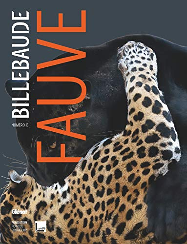 Billebaude, n° 15. Fauve