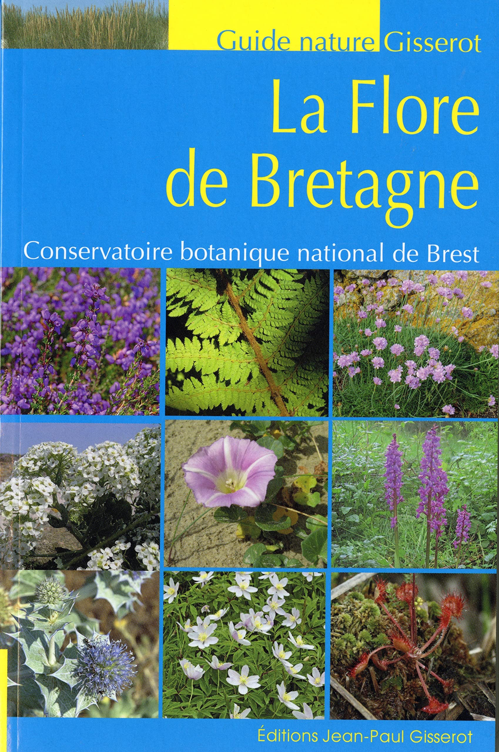 La flore de Bretagne