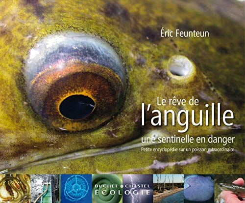 Le rêve de l'anguille : une sentinelle en danger : petite encyclopédie sur un poisson extraordinaire