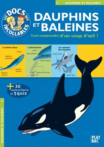 Les dauphins et baleines