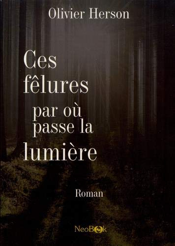 Ces fêlures par où passe la lumière