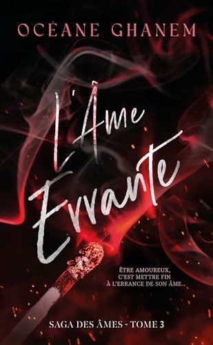 Saga des âmes. Vol. 3. L'âme errante. Vol. 1