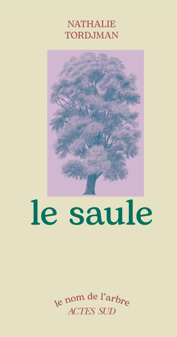 Le saule
