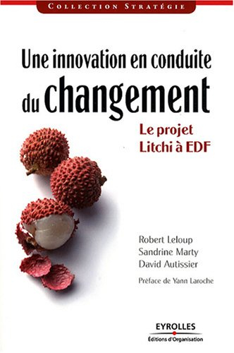 Une innovation en conduite du changement : le projet LITCHI à EDF