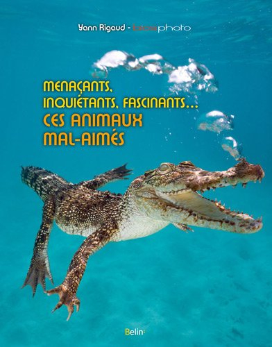 Menaçants, inquiétants, fascinants... : ces animaux mal-aimés