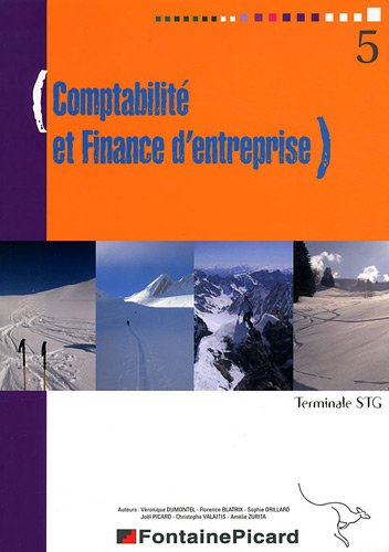 Comptabilité et finance d'entreprise, Terminale STG