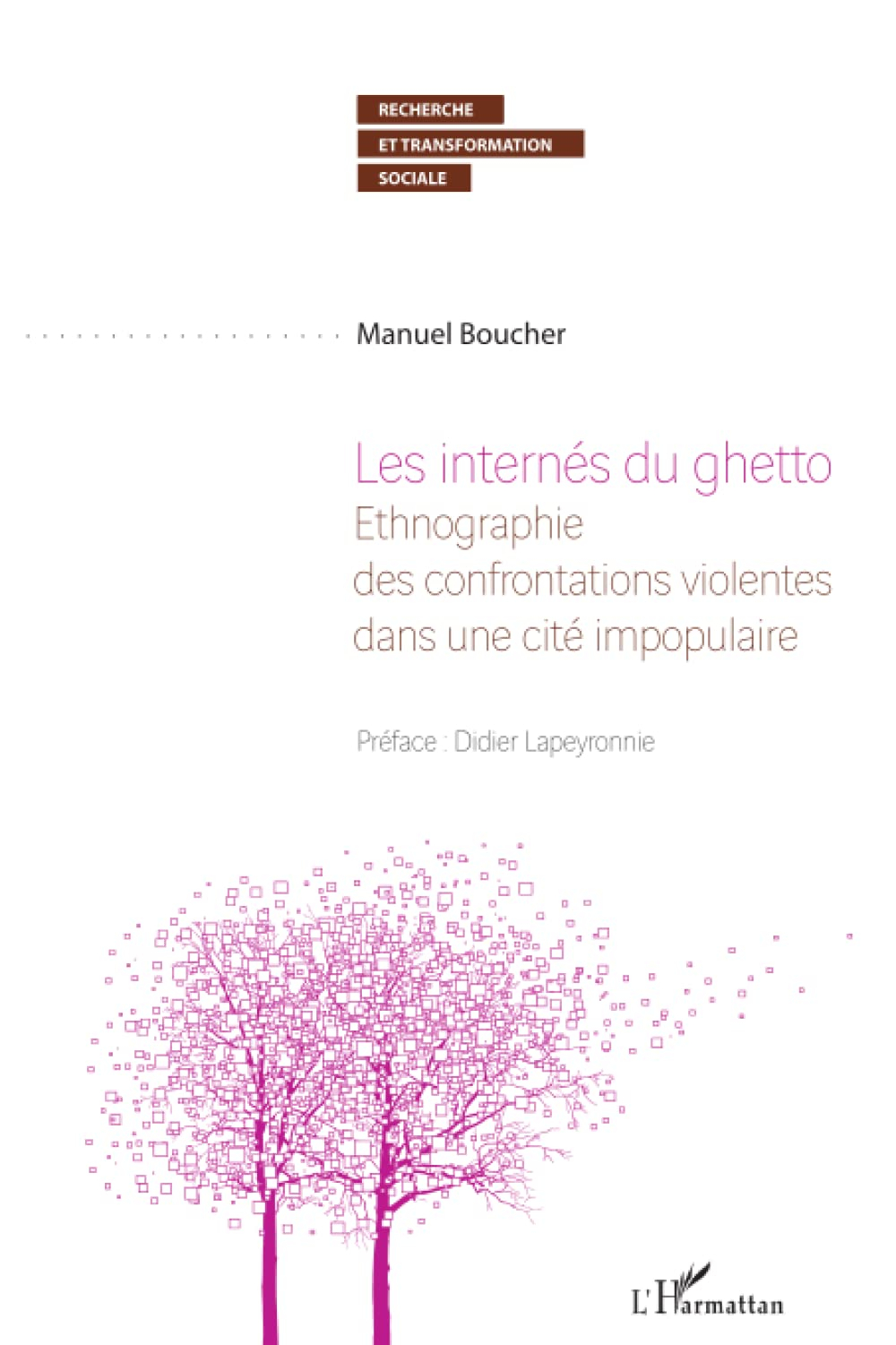 Les internés du ghetto : ethnographie des confrontations violentes dans une cité impopulaire