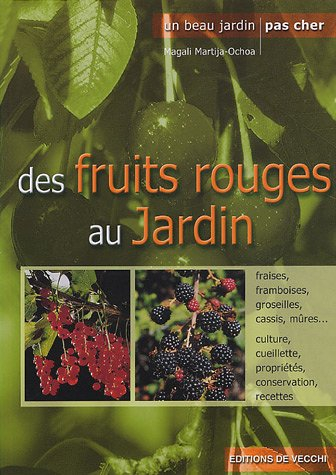 Comment cultiver et récolter les fruits rouges