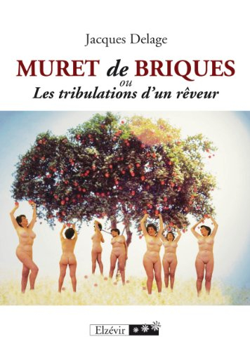 Muret de Briques Ou les Tribulations d un Reveur