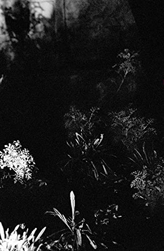 Le jardin d'après : sur les traces du Premier jardin d'Anne Hébert