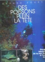 Des Poissons plein la tête