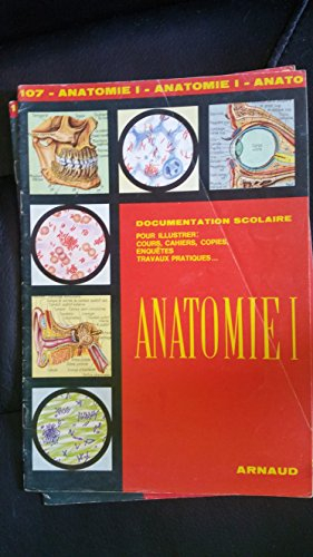 Anatomie