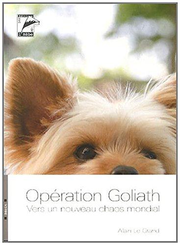 Opération Goliath : vers un nouveau chaos mondial