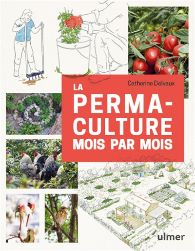 La permaculture mois par mois