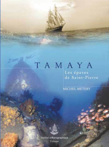 Tamaya : les épaves de Saint-Pierre