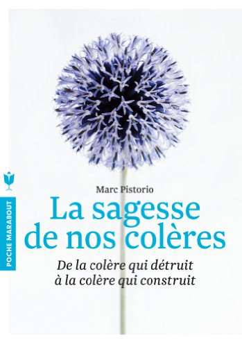 La sagesse de nos colères : de la colère qui détruit à la colère qui construit
