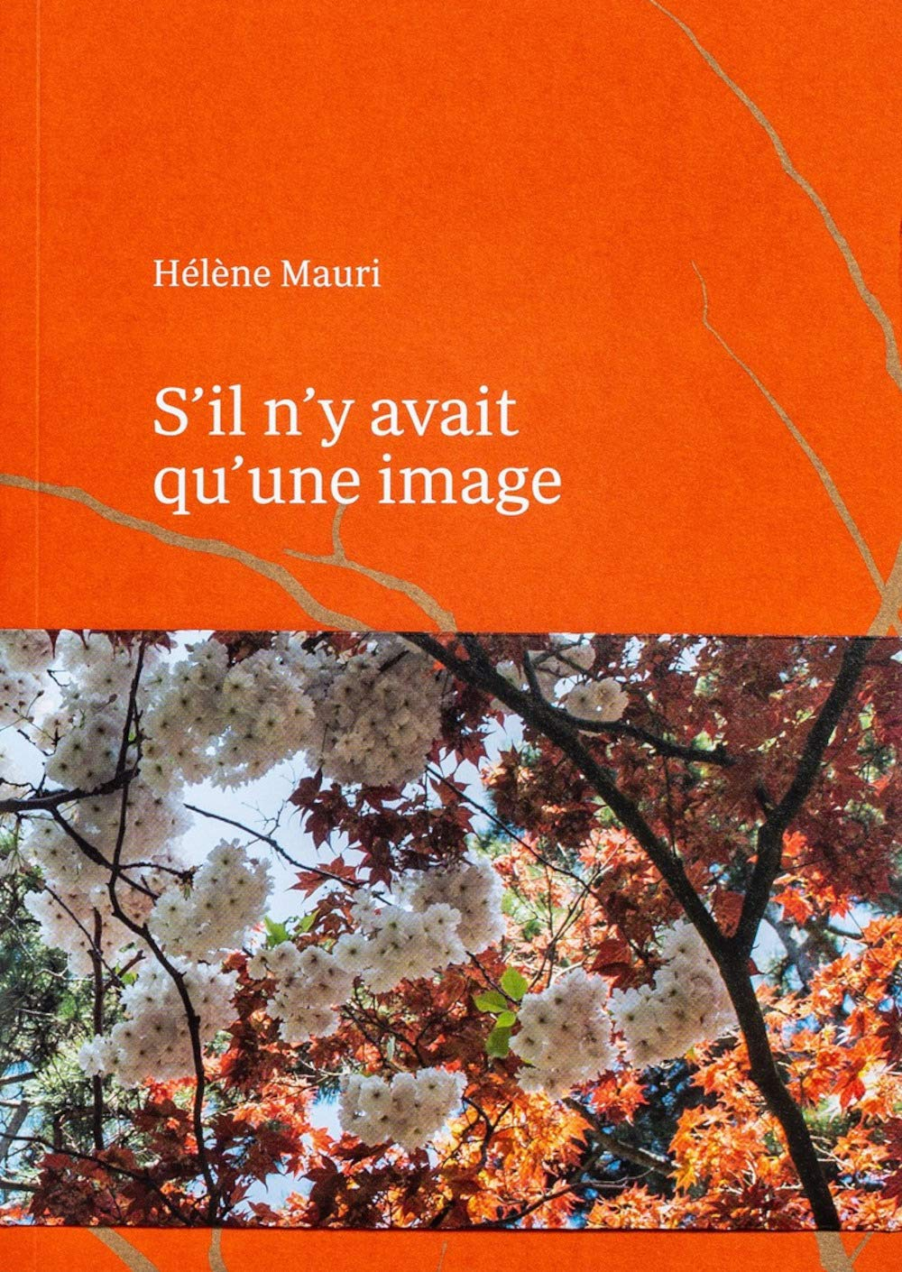 S'il n'y avait qu'une image