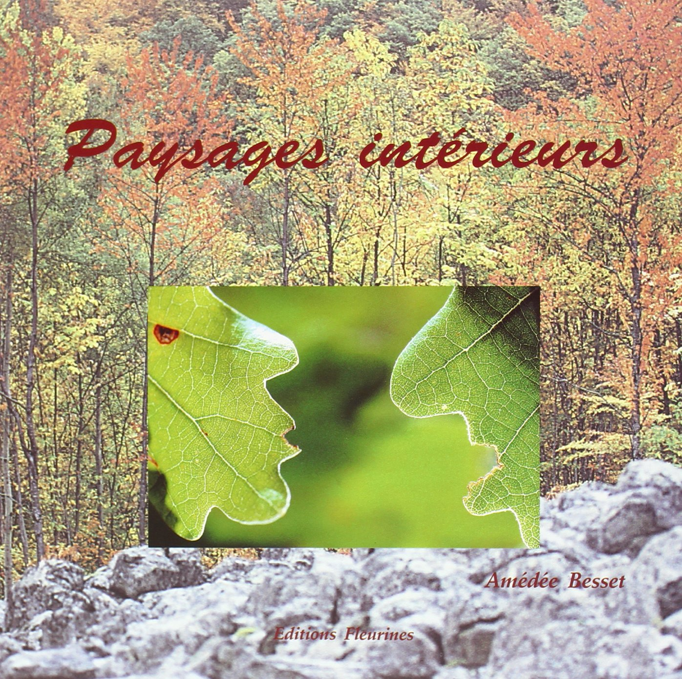 Paysages intérieurs