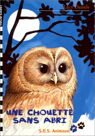 Une chouette sans abri