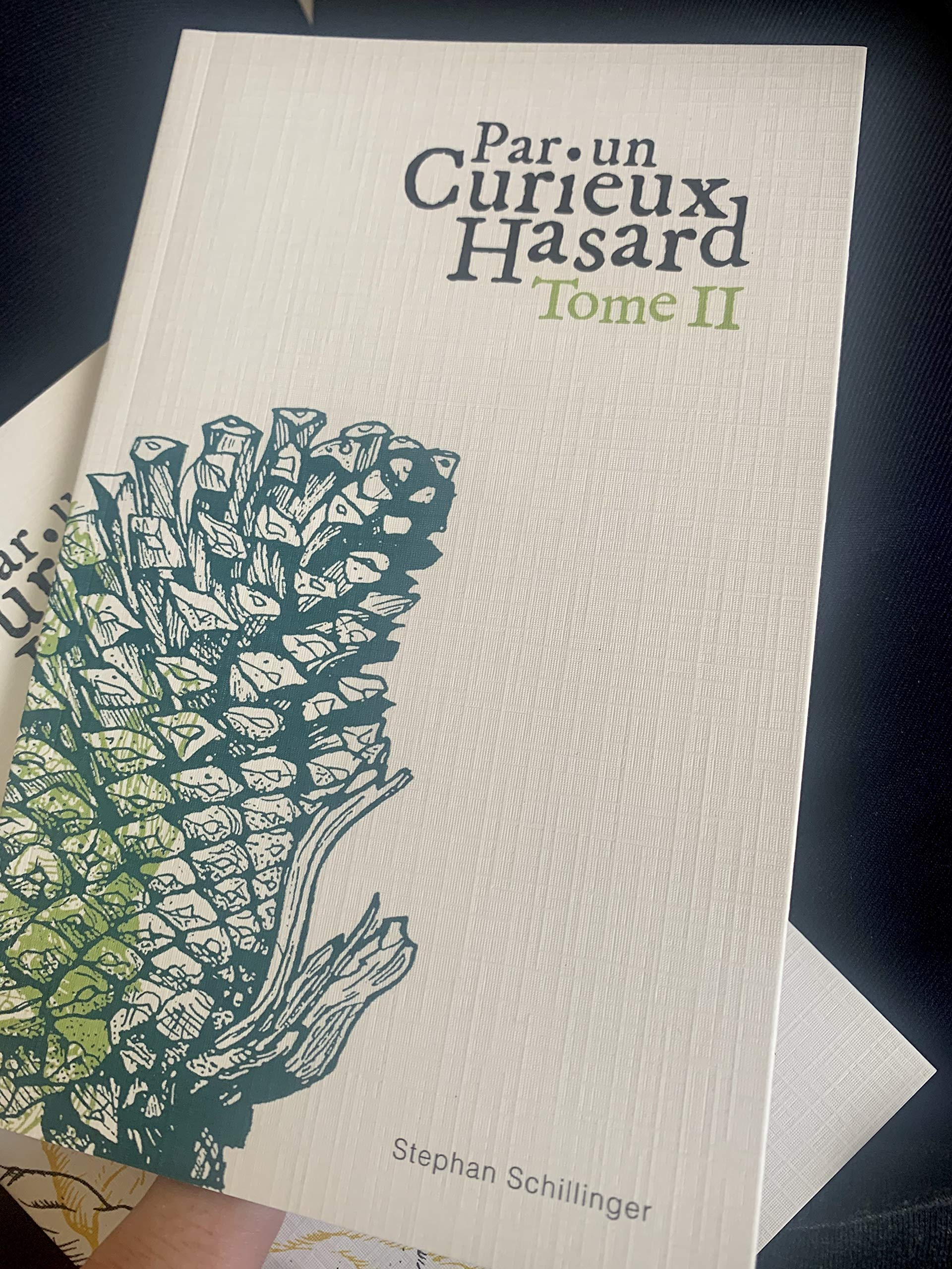 Par un Curieux Hasard - Tome II