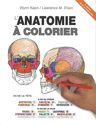Anatomie à colorier, 4e éd.
