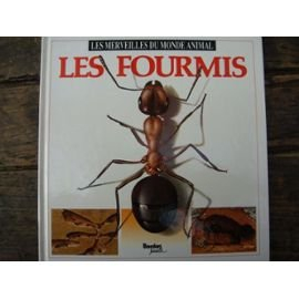 Les Fourmis