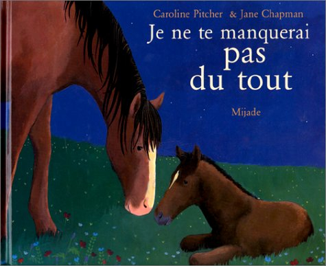 Je ne te manquerai pas du tout