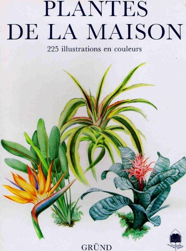 Plantes de la maison