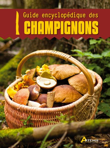 Mini-guide encyclopédique des champignons