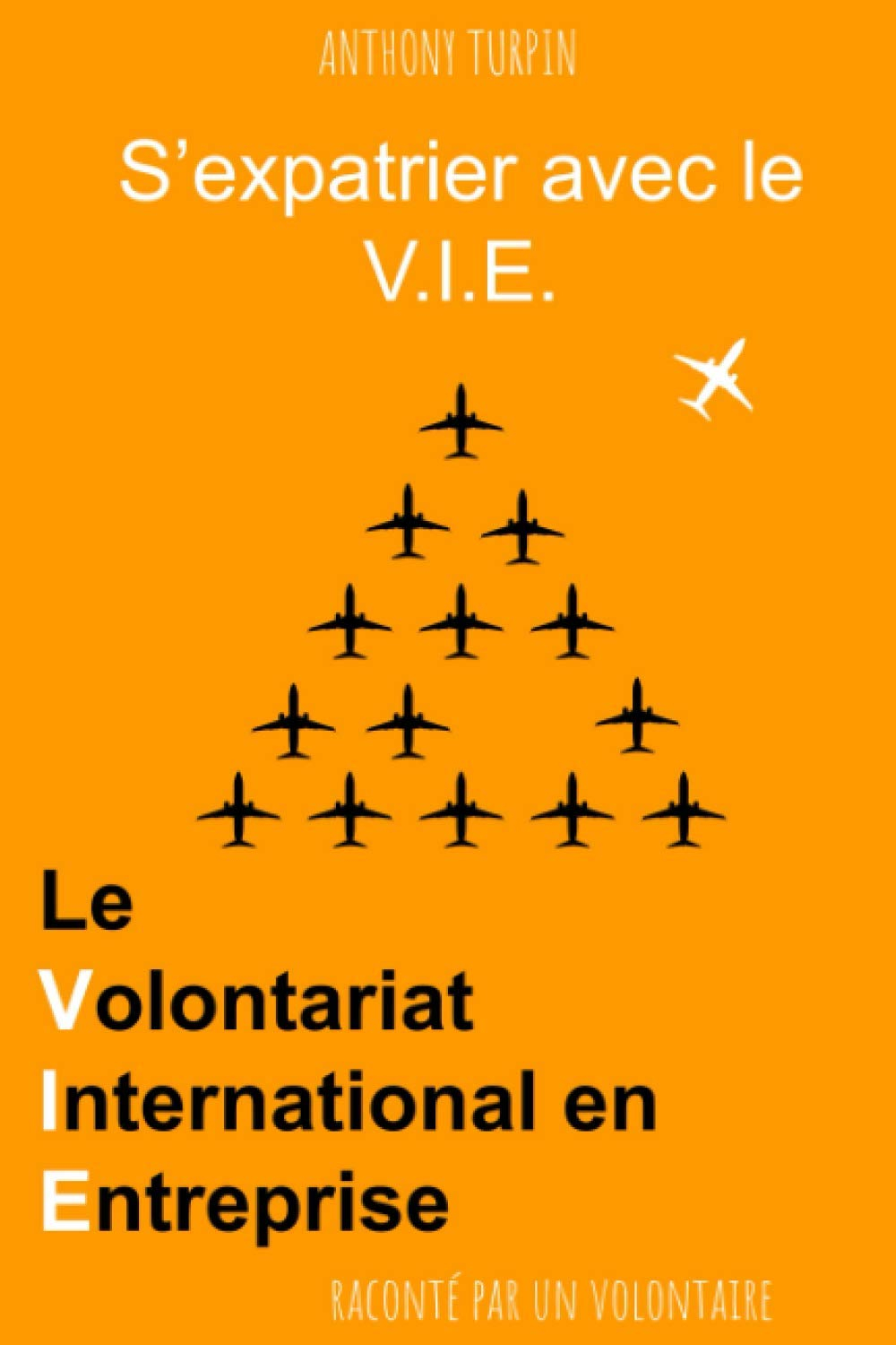 S'expatrier avec le V.I.E.: Le Volontariat International en Entreprise raconté par un volontaire