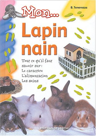 Mon lapin nain : tout ce qu'il faut savoir