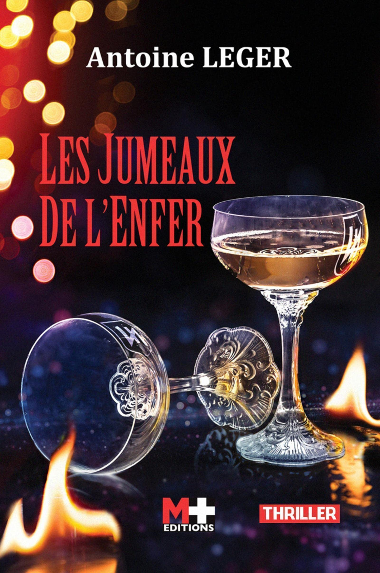 Les jumeaux de l'enfer : roman, thriller