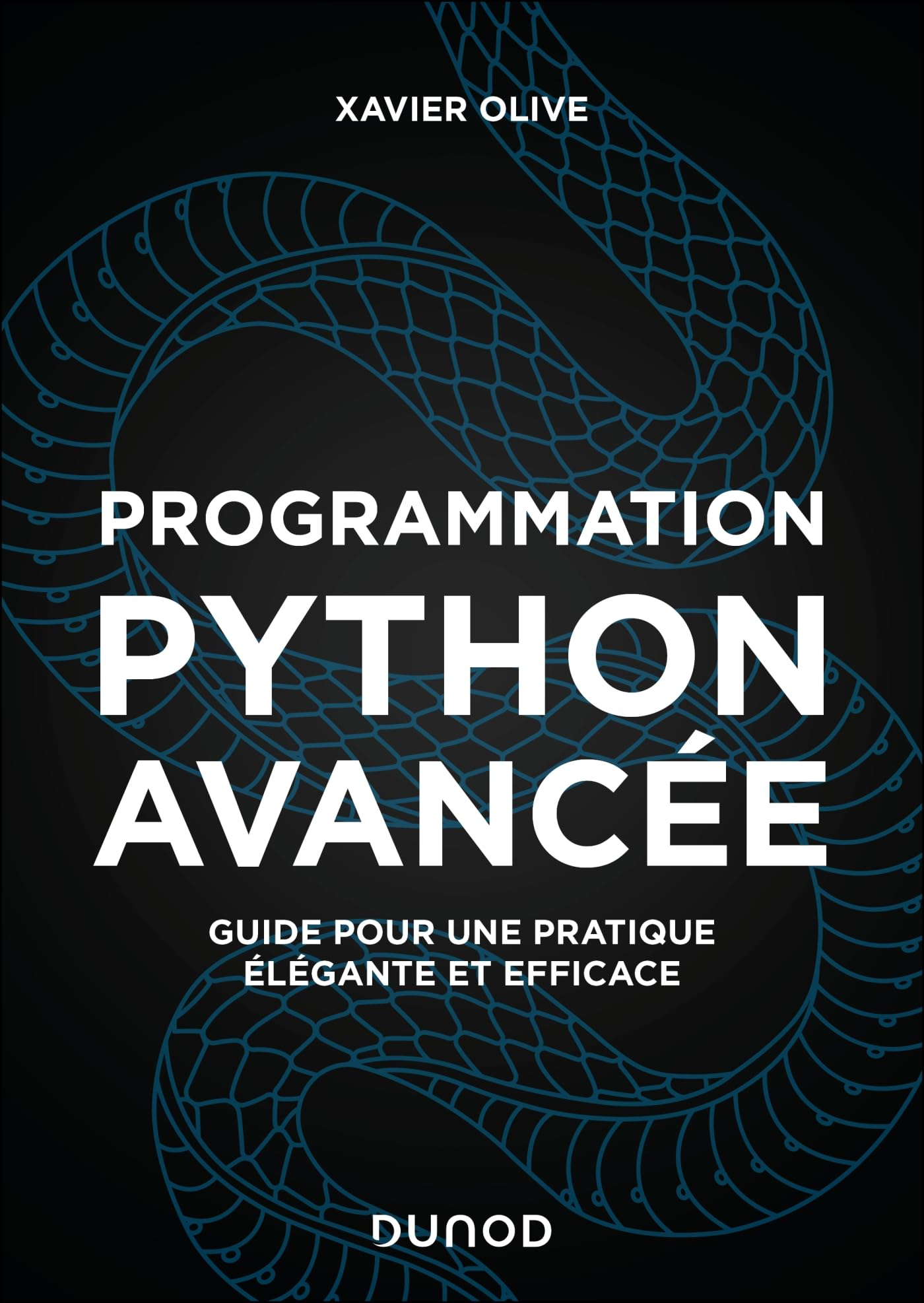 Programmation Python avancée : guide pour une pratique élégante et efficace