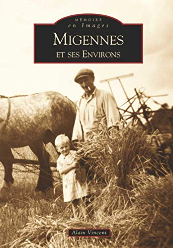 Migennes et ses environs
