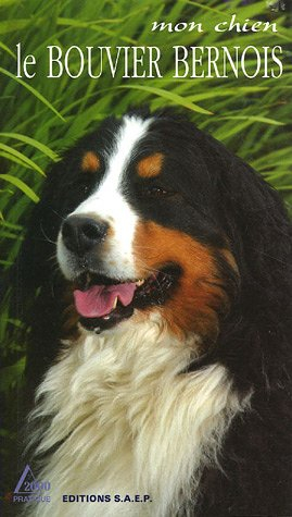 Le bouvier bernois : un molosse au coeur d'or : mon chien