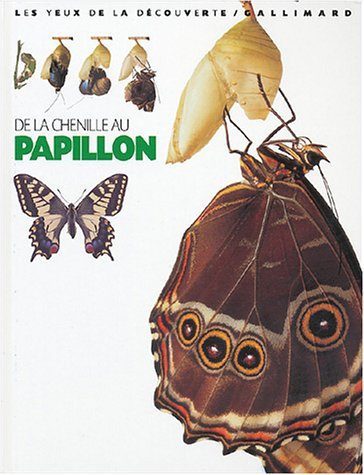 De la chenille au papillon