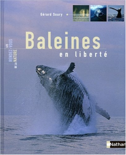 Baleines en liberté