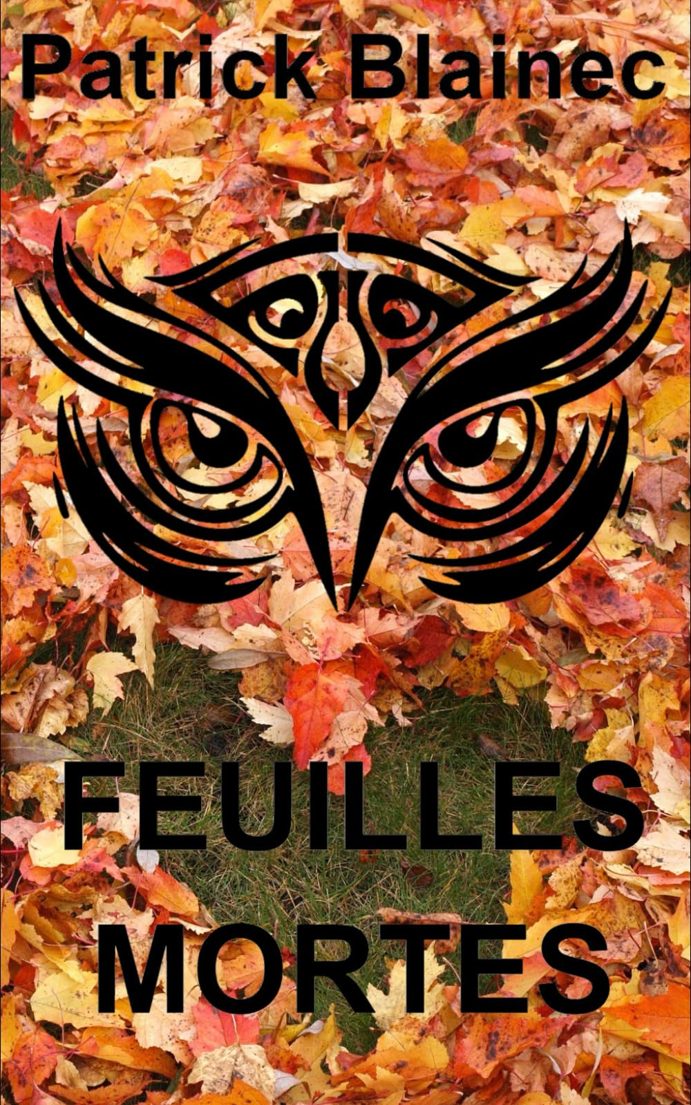 Feuilles Mortes: La première enquête du Capitaine Ernest "Le Hibou" Lapaillou