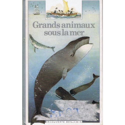 grands animaux sous la mer