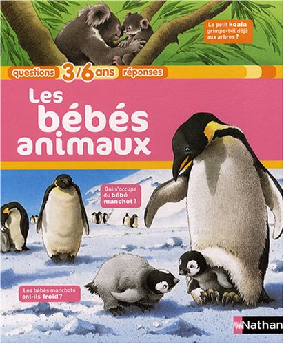 Les bébés animaux