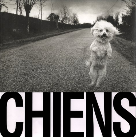 Chiens