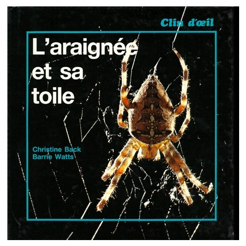 L'Araignée et sa toile