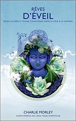 Rêves d'éveil : rêves lucides et pleine conscience dans le rêve et le sommeil : êtes-vous en train d
